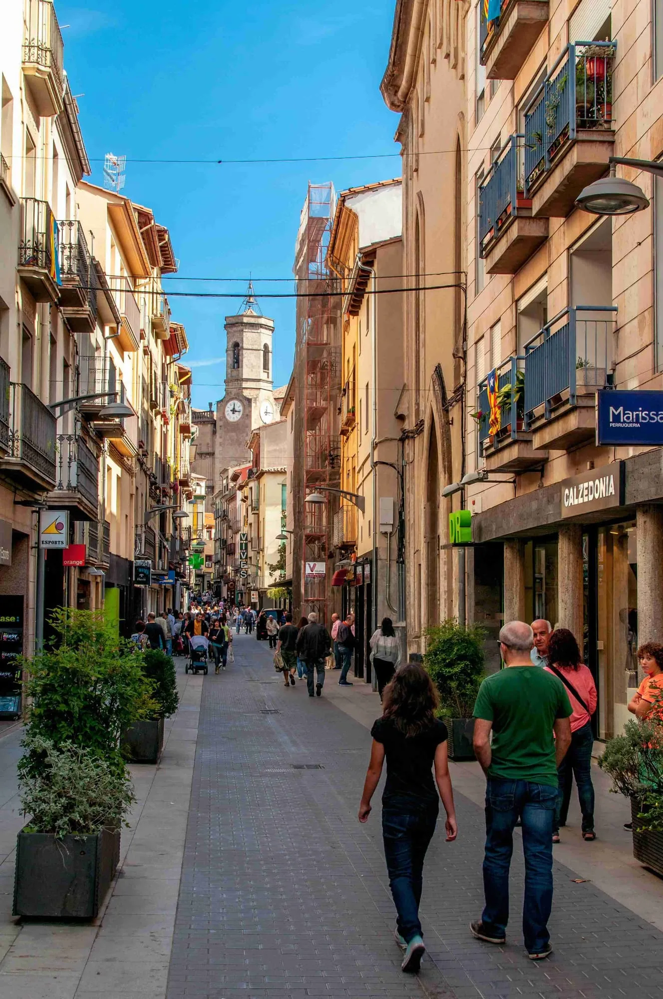 Descripció de la imatge