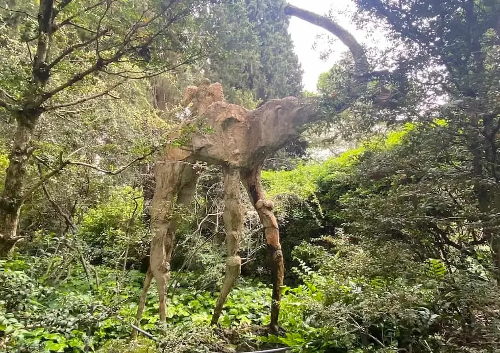 Visita Guiada al Castillo de Púbol - 2
