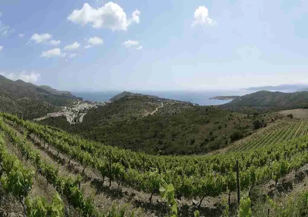 Grand Wine Tour DO Empordà - 3