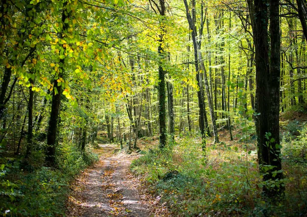 Garrotxa, volcanes y cráteres - 3