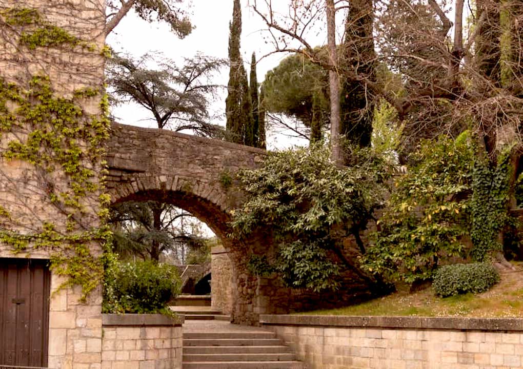 Descripcion de la imagen