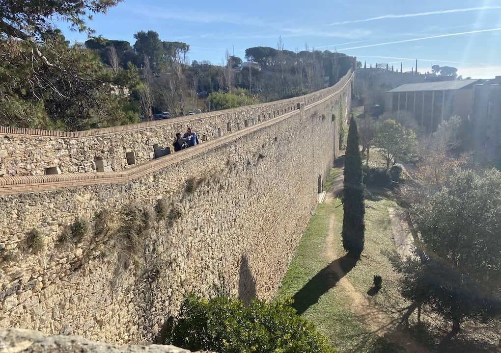 Descripcion de la imagen